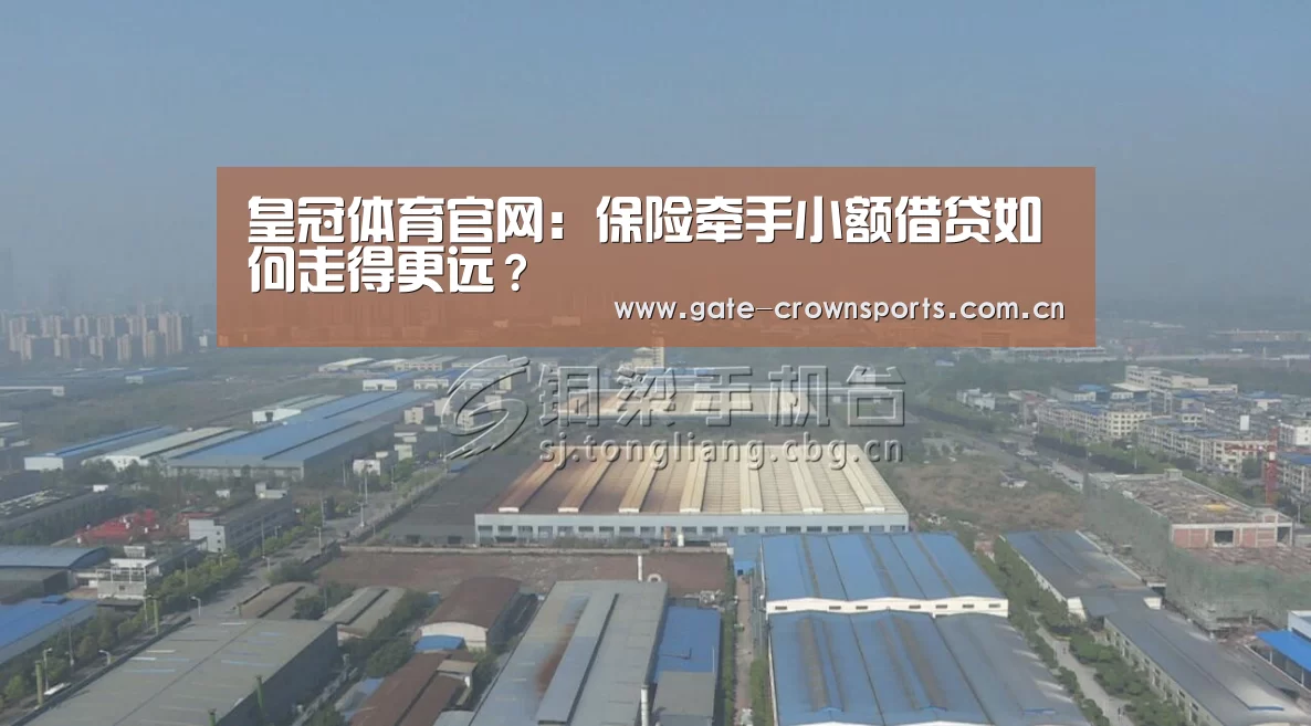 皇冠体育官网:保险牵手小额借贷如何走得更远?(图2) 皇冠体育娱乐