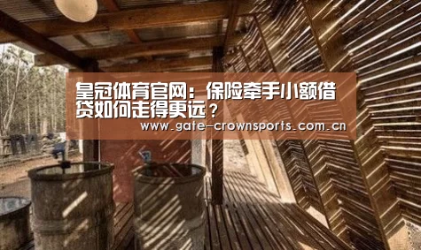 皇冠体育官网:保险牵手小额借贷如何走得更远?(图1) 皇冠体育