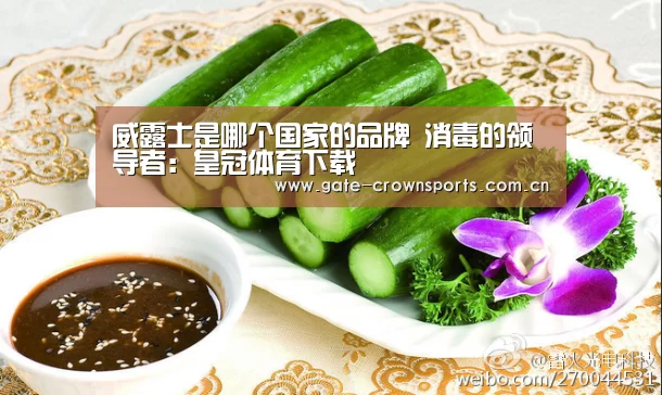 威露士是哪个国家的品牌 消毒的领导者:皇冠体育下载(图2) 皇冠体育