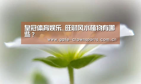 皇冠体育娱乐_旺财风水植物有哪些?(图1) 皇冠体育娱乐