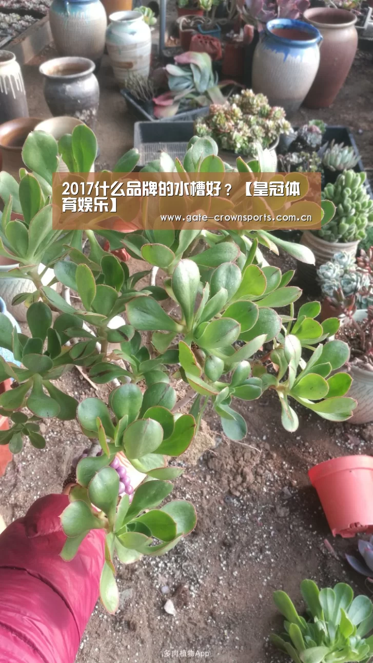 皇冠体育官网