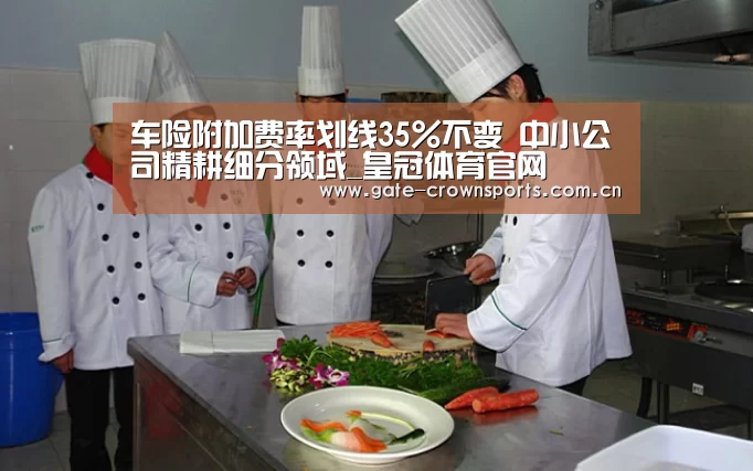 车险附加费率划线35%不变 中小公司精耕细分领域_皇冠体育官网(图1) 皇冠体育官网