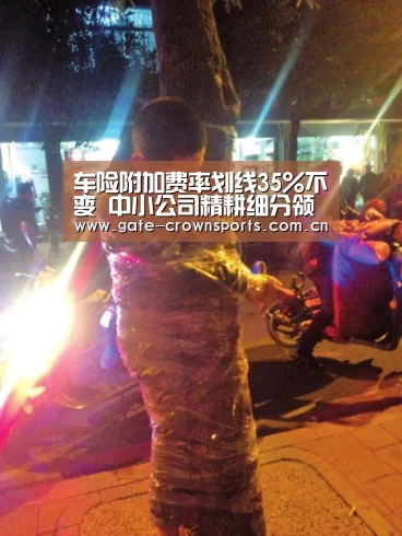 车险附加费率划线35%不变 中小公司精耕细分领域_皇冠体育官网(图3) 皇冠体育官网